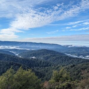 Meet your Posher, Elaine